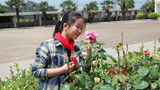 DSC_0825_副本1.jpg