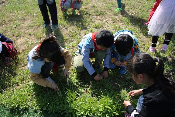 通过这次除草活动,学生们用自己的双手劳动,懂得了一份耕耘,一份