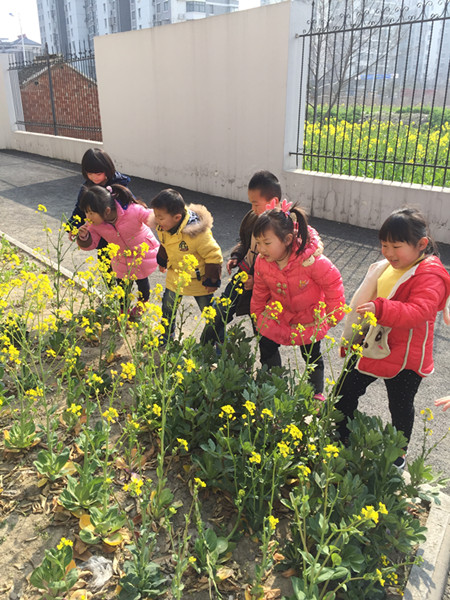 如皋市如城光华幼儿园:找春天