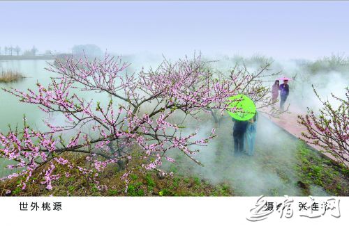 泗洪出生人口_泗洪世纪公园照片